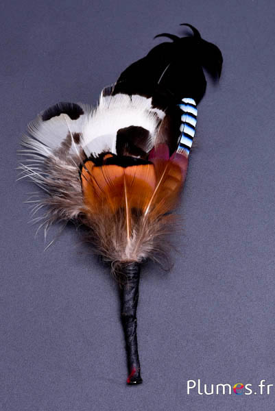 Composition en plumes n° 25 - longueur 11 cm - naturel
